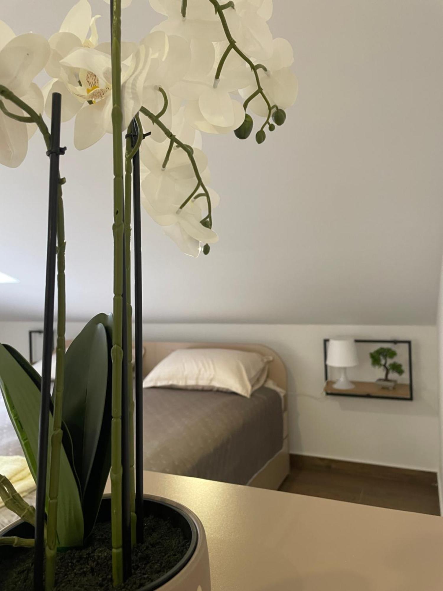 Joy Apartment 6 Belgrado Buitenkant foto